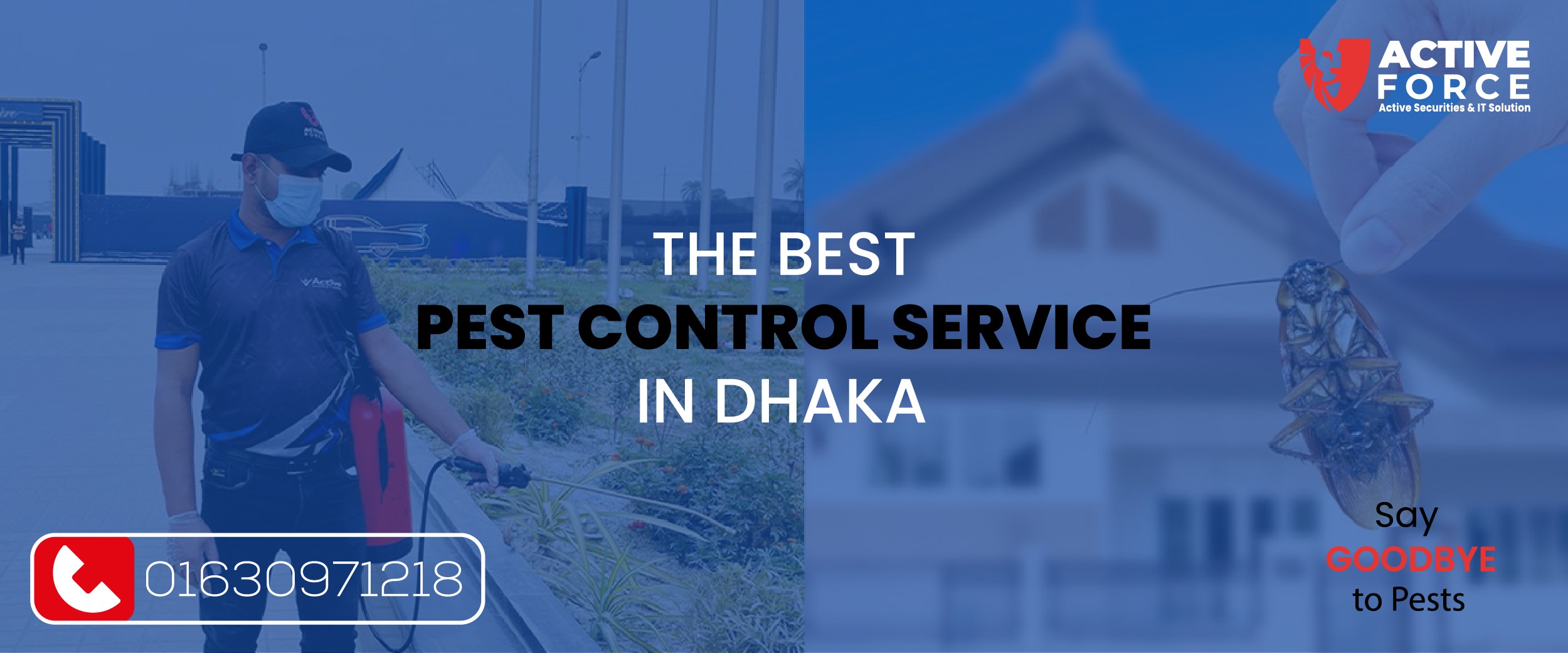 Say Goodbye to Pests with the Best Control Service in BD | Active Force
